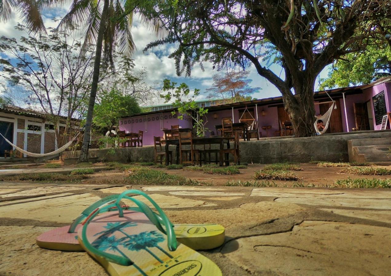 Isla Encantada León Esterno foto